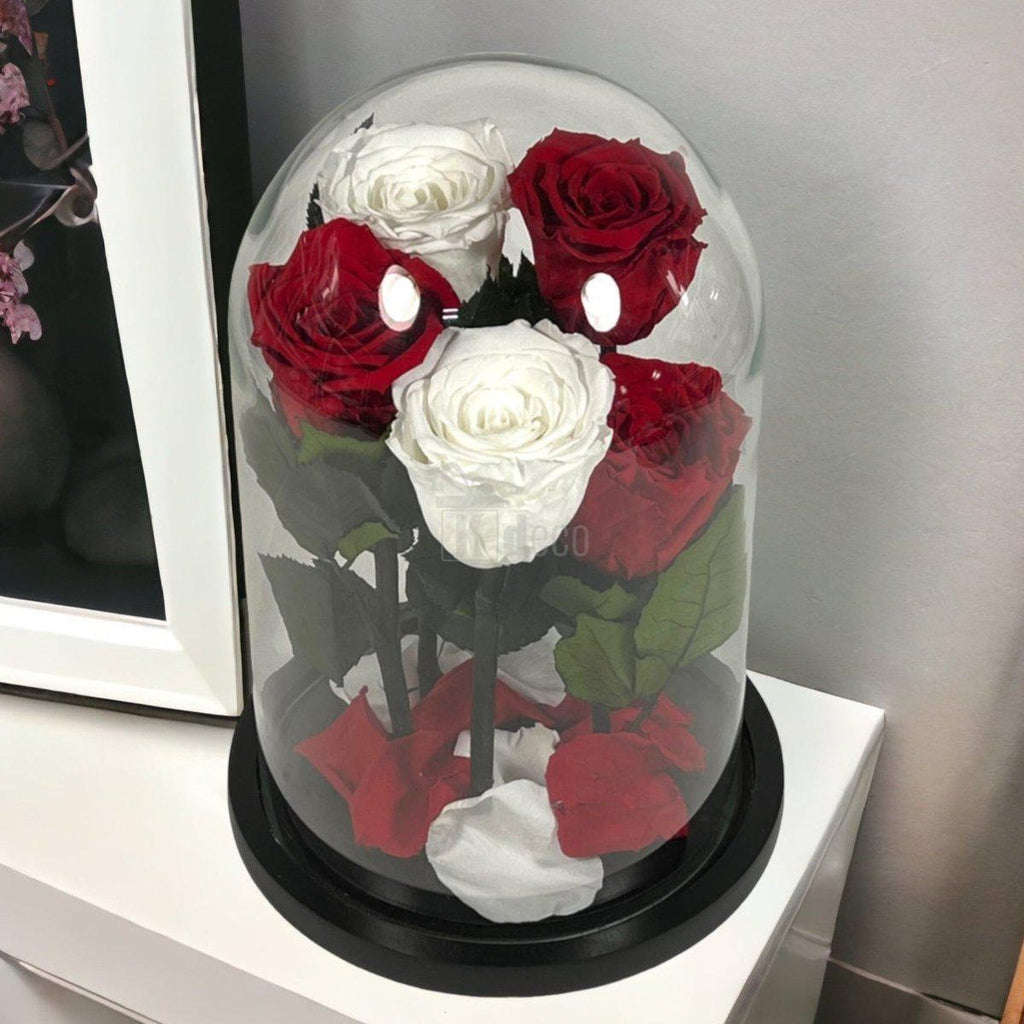 5 trandafiri criogenati în cupolă de sticlă, combinație de alb și roșu, cadou rafinat pentru ocazii speciale.
