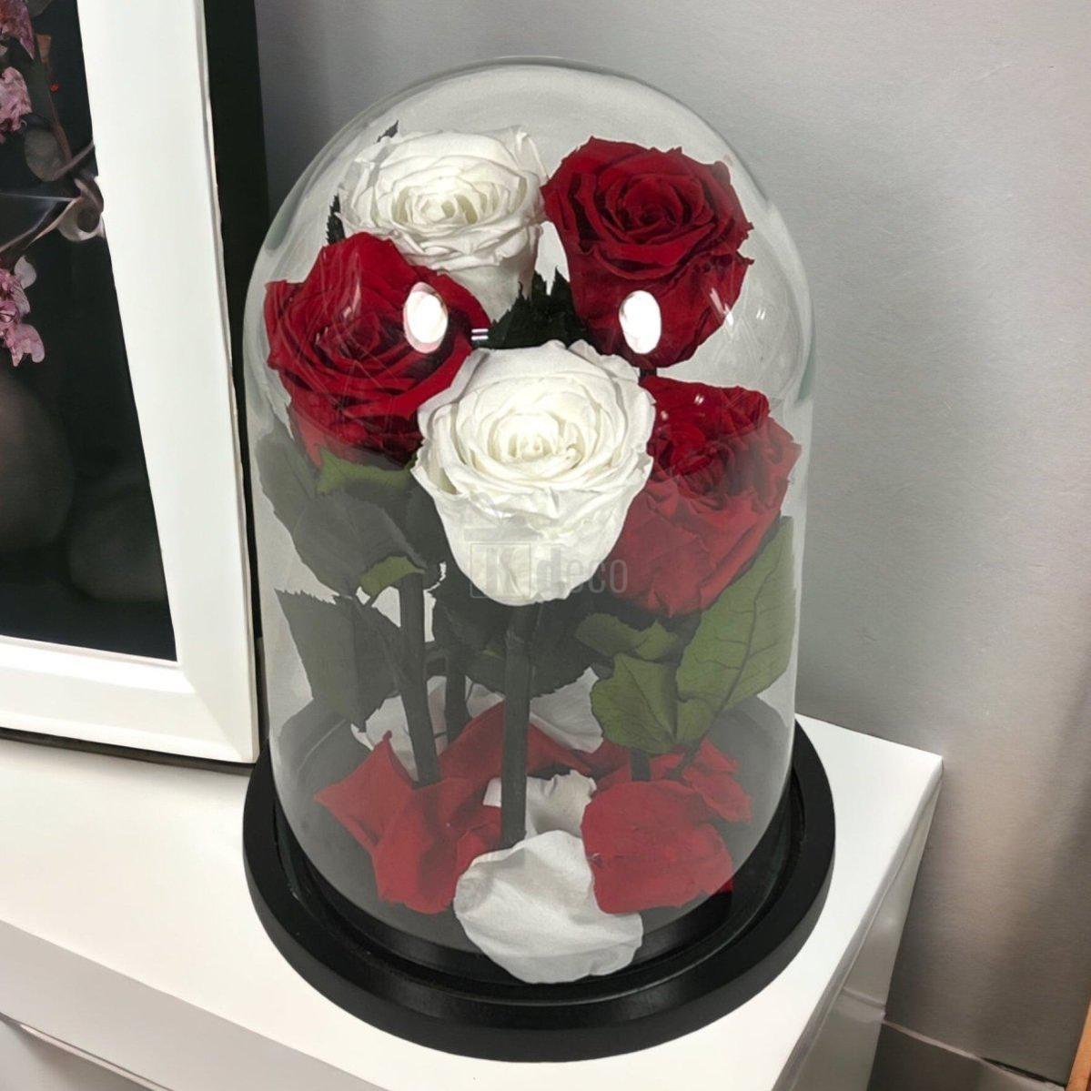 5 trandafiri criogenati în cupolă de sticlă, combinație de alb și roșu, cadou rafinat pentru ocazii speciale.