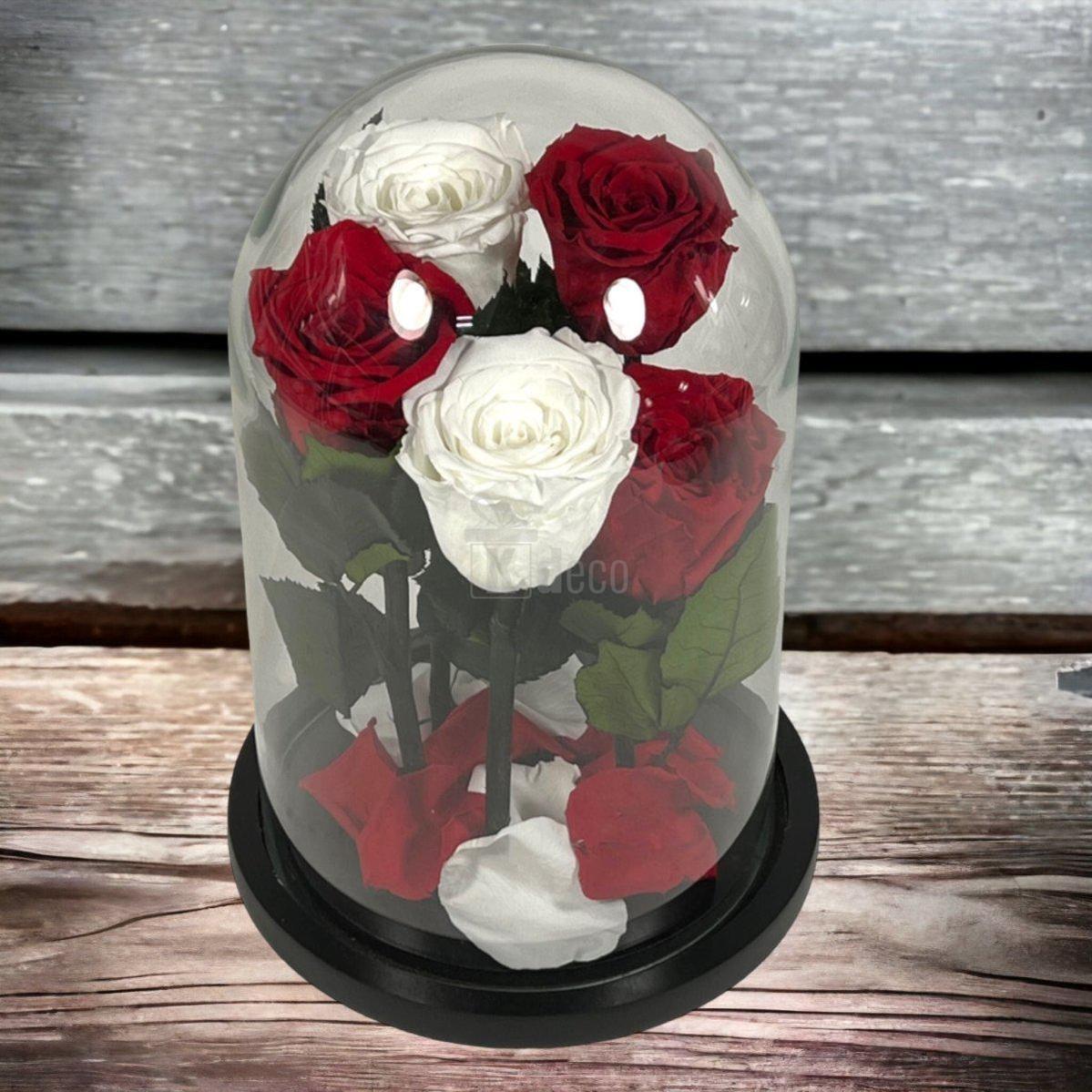 Aranjament floral cu trandafiri criogenati sub cupolă, pe fundal rustic, cadou elegant pentru orice ocazie.