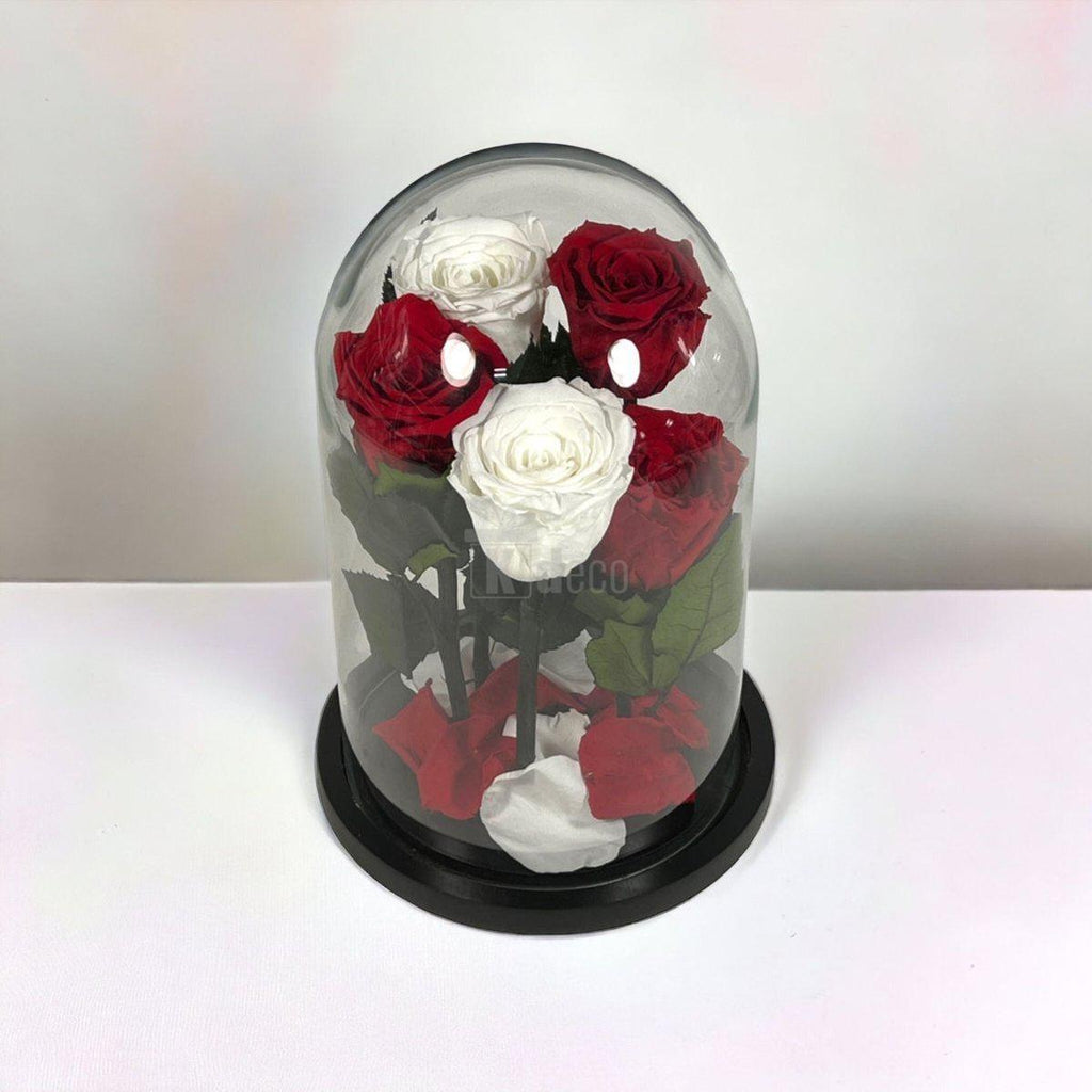 Trandafiri criogenati în cupolă de sticlă, aranjament floral deosebit, ideal pentru cadouri personalizate.