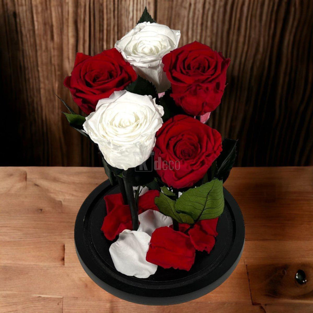 Aranjament cu 5 trandafiri criogenati pe suport negru, combinație de alb și roșu, decor floral de impact.