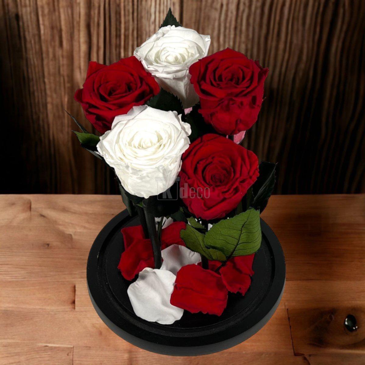 Aranjament cu 5 trandafiri criogenati pe suport negru, combinație de alb și roșu, decor floral de impact.