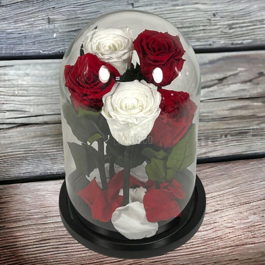 Cupolă elegantă cu trandafiri criogenati roșii și albi, decor floral nemuritor pentru cadouri deosebite.