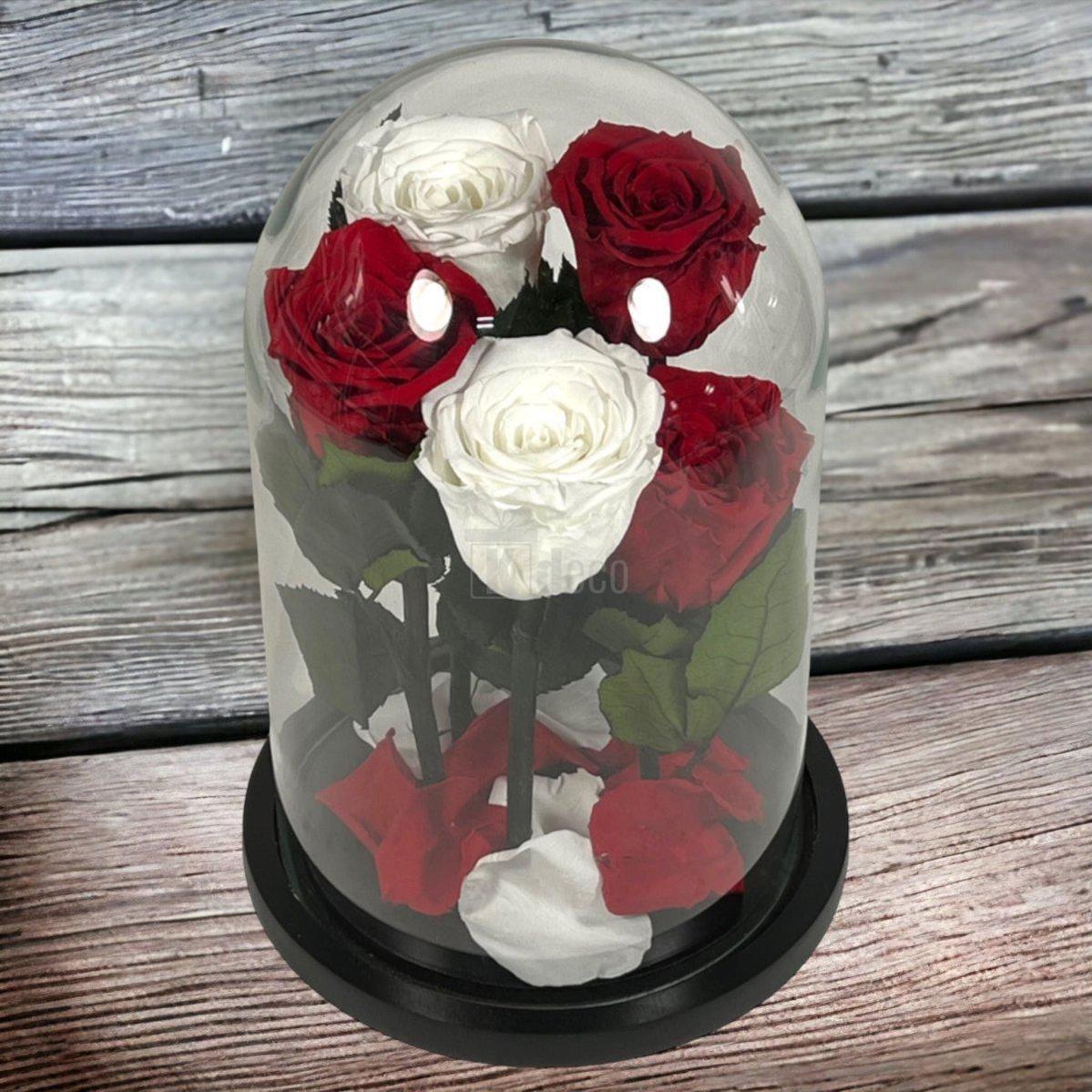 Cupolă elegantă cu trandafiri criogenati roșii și albi, decor floral nemuritor pentru cadouri deosebite.