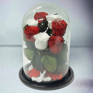 7 Trandafiri Criogenati 4 rosii si 3 albi in cupola de sticla cu mesaj-Kdeco.ro