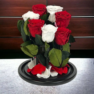 7 Trandafiri Criogenati 4 rosii si 3 albi in cupola de sticla cu mesaj-Kdeco.ro