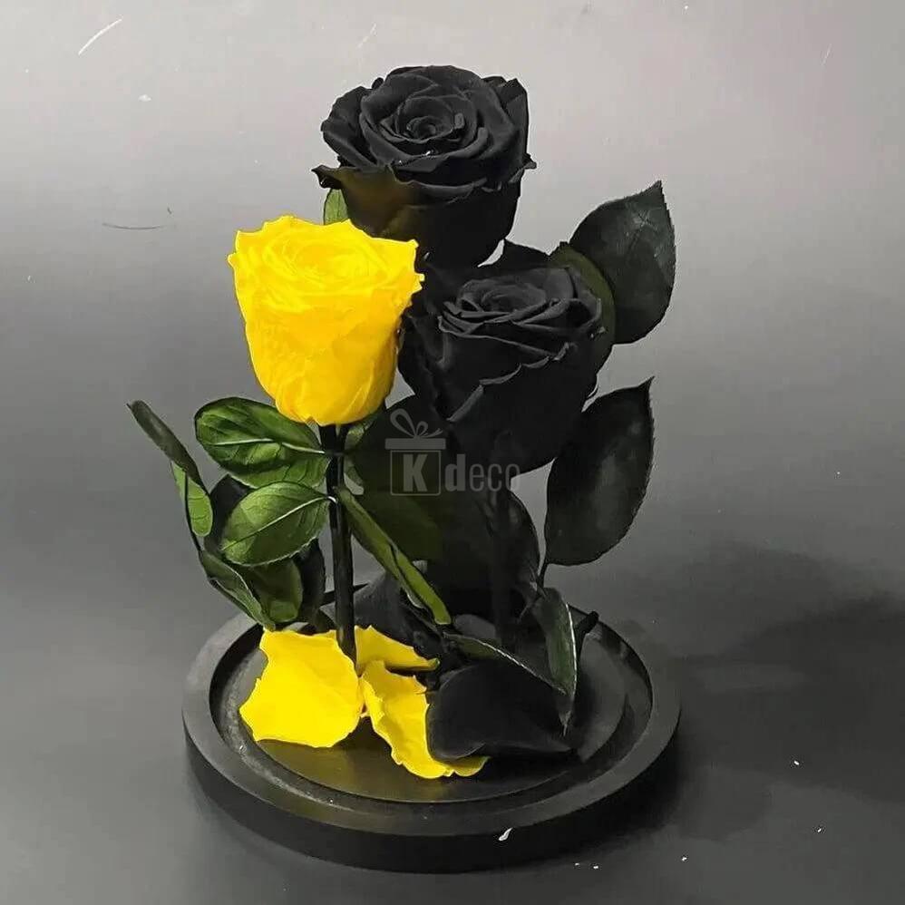 Aranjament cu 2 Trandafiri Negri și 1 Galben Criogenat, în Cupolă de Sticlă Elegantă - Kdeco.ro