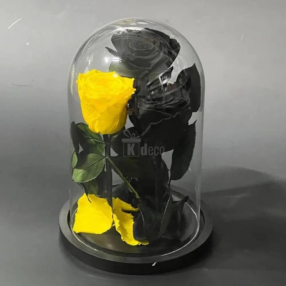 Aranjament cu 2 Trandafiri Negri și 1 Galben Criogenat, în Cupolă de Sticlă Elegantă - Kdeco.ro