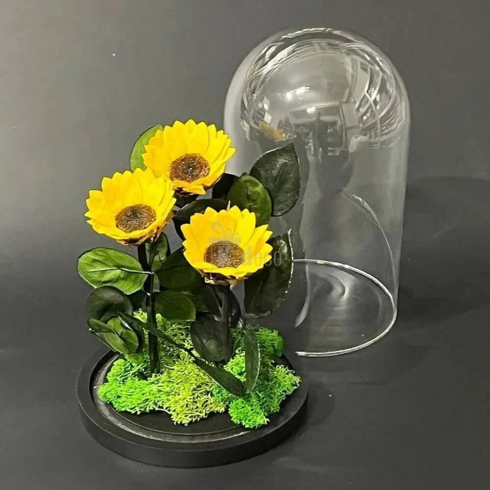 Aranjament cu 3 Floarea Soarelui Criogenate în Cupolă de Sticlă Ø6cm - Kdeco.ro