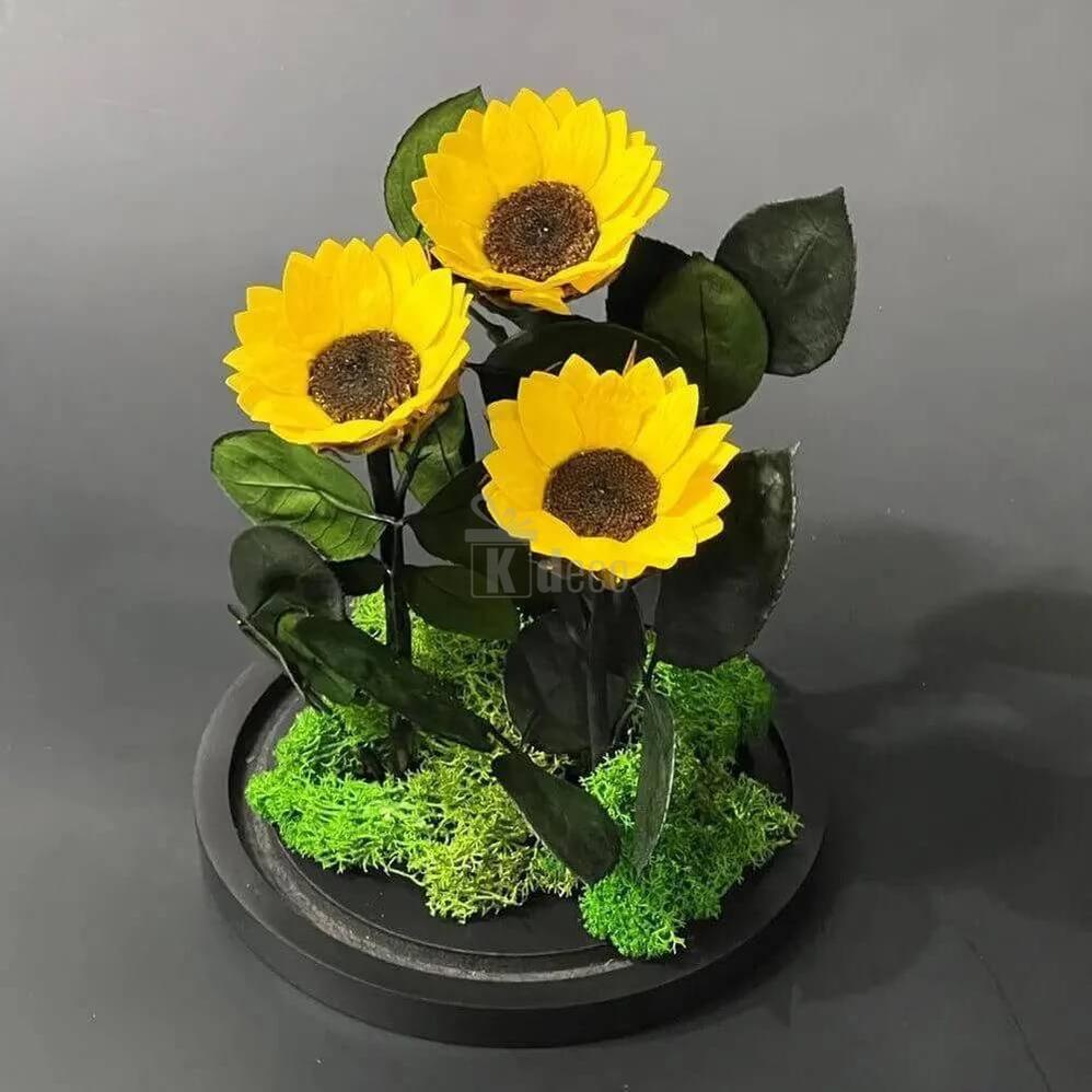 Aranjament cu 3 Floarea Soarelui Criogenate în Cupolă de Sticlă Ø6cm - Kdeco.ro