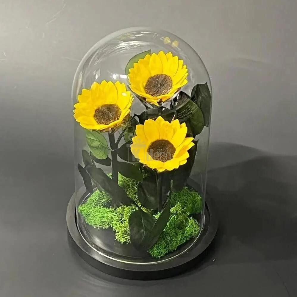 Aranjament cu 3 Floarea Soarelui Criogenate în Cupolă de Sticlă Ø6cm - Kdeco.ro