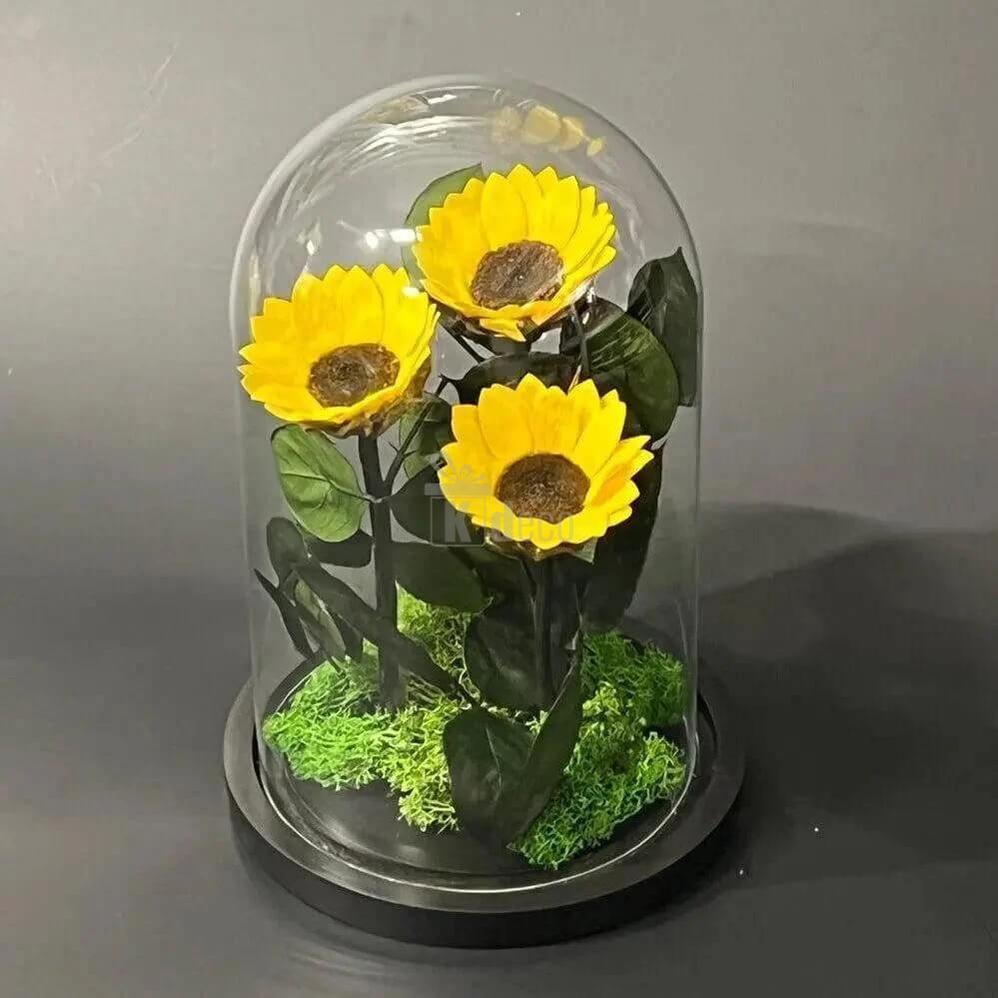 Aranjament cu 3 Floarea Soarelui Criogenate în Cupolă de Sticlă Ø6cm - Kdeco.ro
