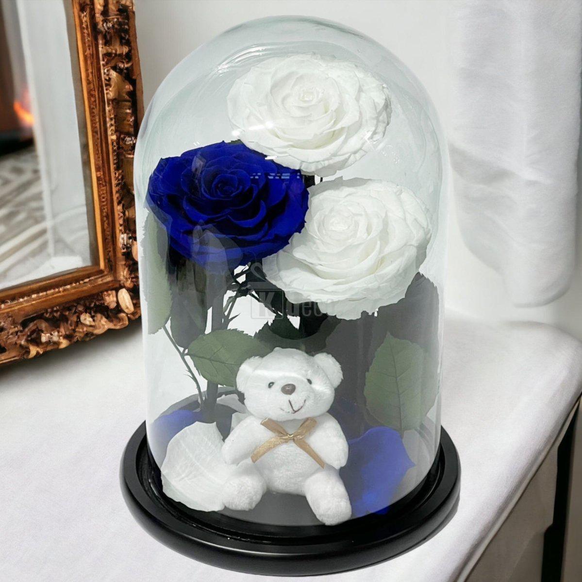 3 Trandafiri Criogenati mari (2 albi si 1 albastru) in cupola sticla cu ursulet-Kdeco.ro