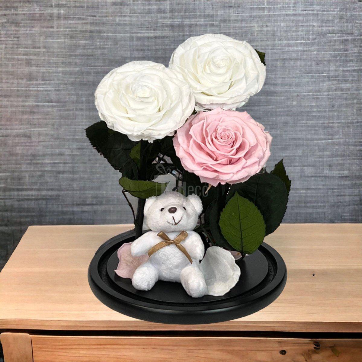 3 Trandafiri Criogenati mari (2 albi si 1 roz pal) in cupola sticla cu ursulet-Kdeco.ro