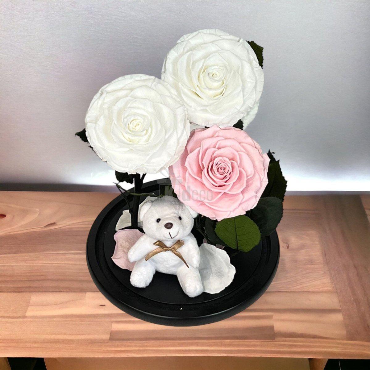 3 Trandafiri Criogenati mari (2 albi si 1 roz pal) in cupola sticla cu ursulet-Kdeco.ro