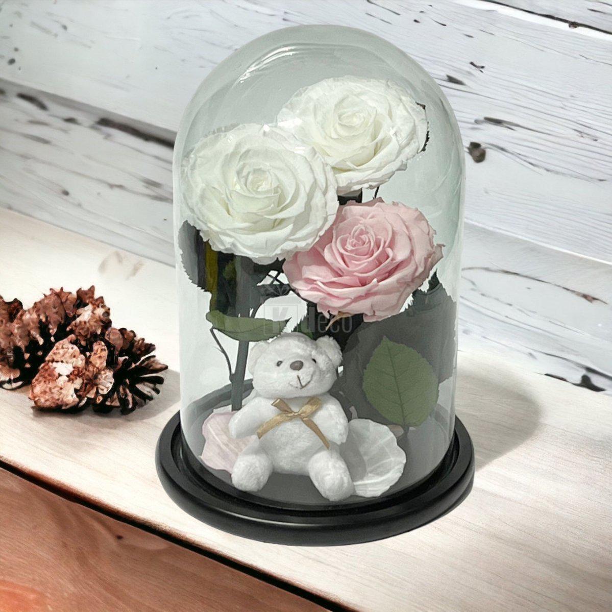3 Trandafiri Criogenati mari (2 albi si 1 roz pal) in cupola sticla cu ursulet-Kdeco.ro