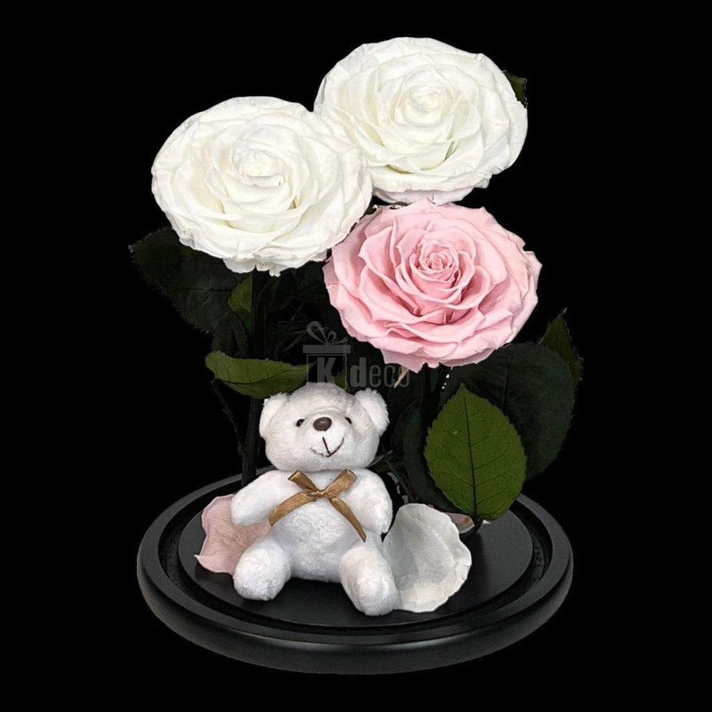 3 Trandafiri Criogenati mari (2 albi si 1 roz pal) in cupola sticla cu ursulet-Kdeco.ro