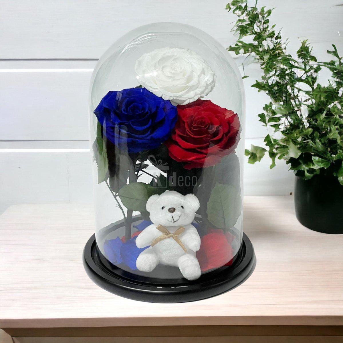 3 Trandafiri Criogenati mari (alb, albastru, rosu) in cupola de sticla-Kdeco.ro