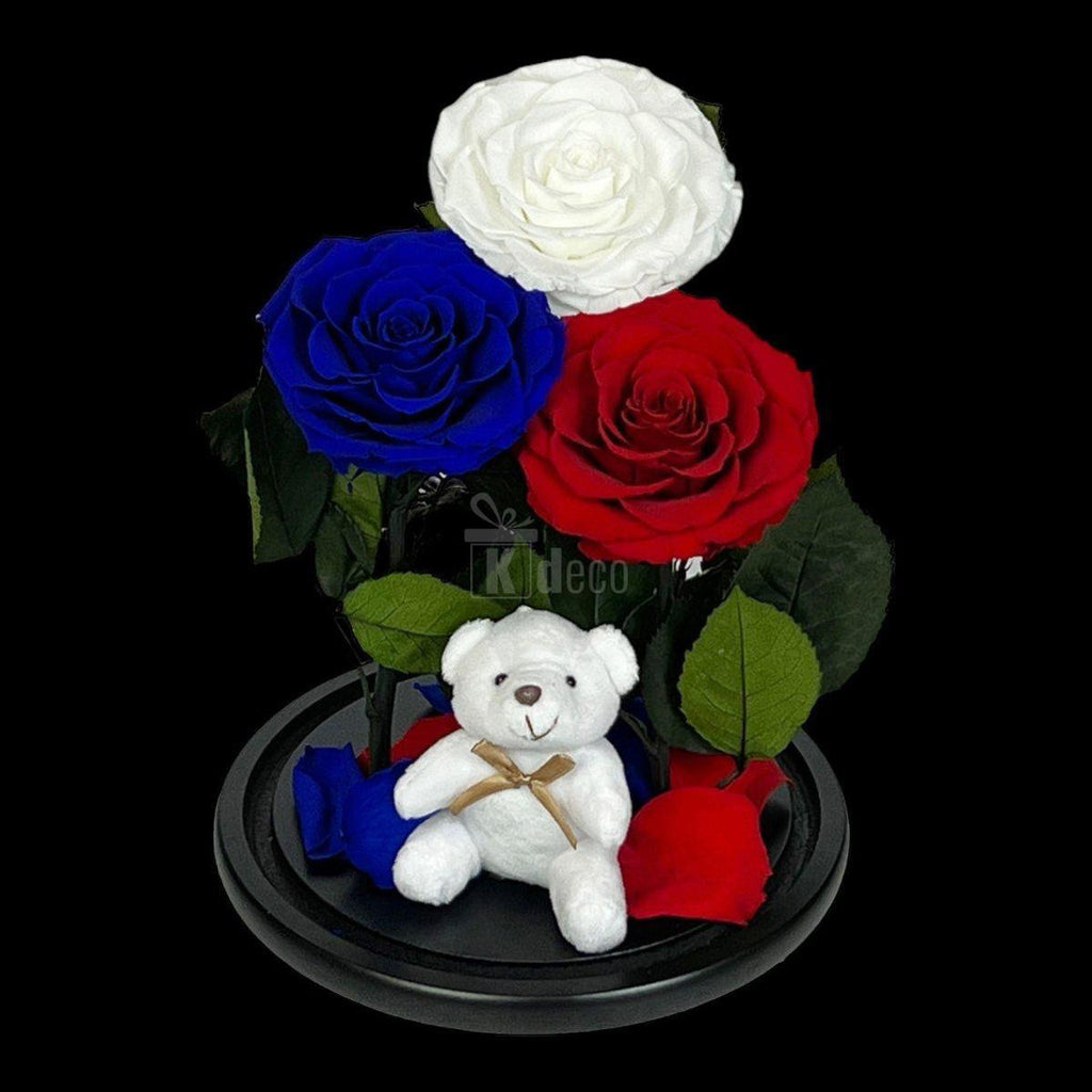 3 Trandafiri Criogenati mari (alb, albastru, rosu) in cupola de sticla-Kdeco.ro