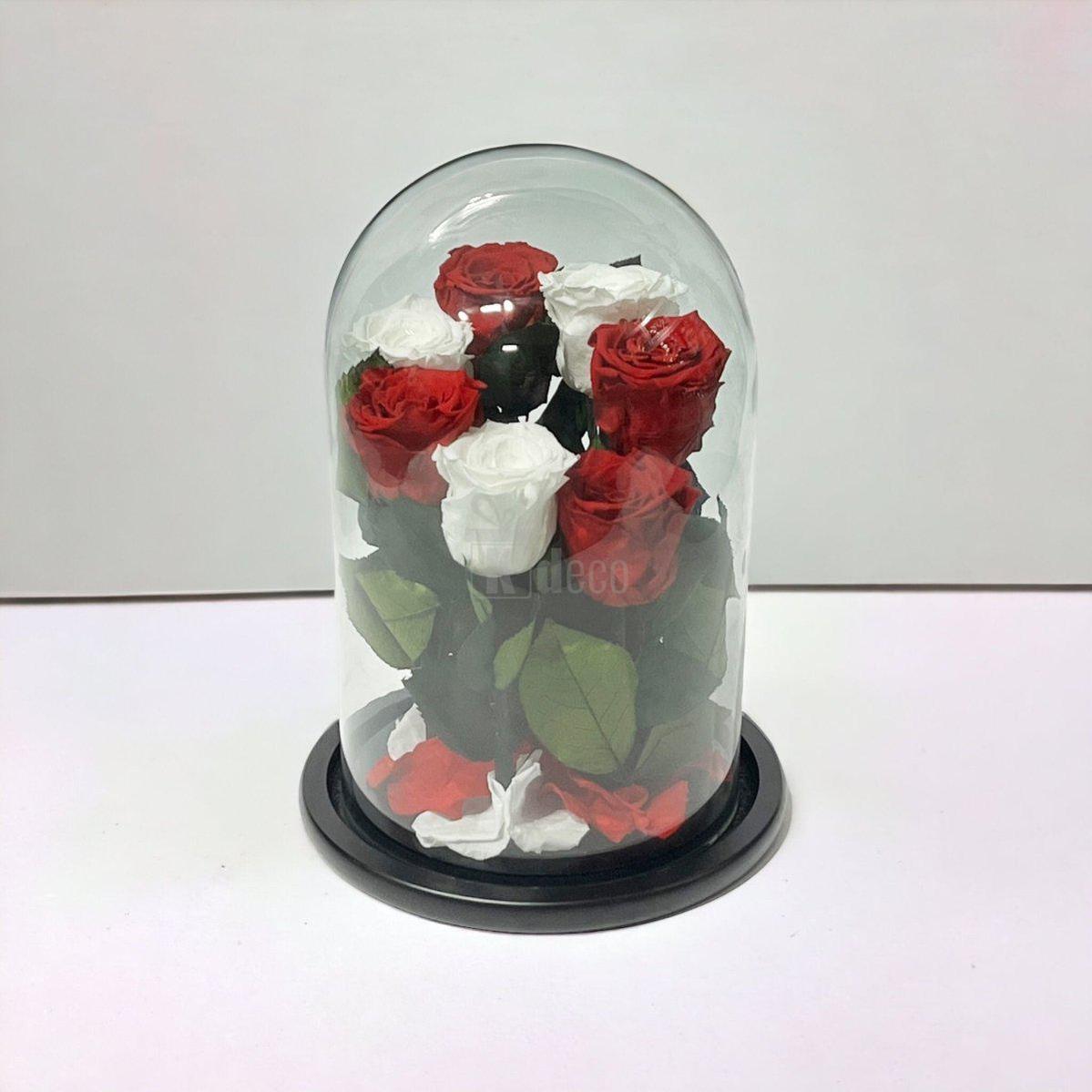 7 Trandafiri Criogenati 4 rosii si 3 albi in cupola de sticla cu mesaj-Kdeco.ro