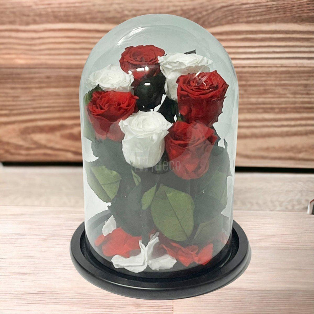 7 Trandafiri Criogenati 4 rosii si 3 albi in cupola de sticla cu mesaj-Kdeco.ro