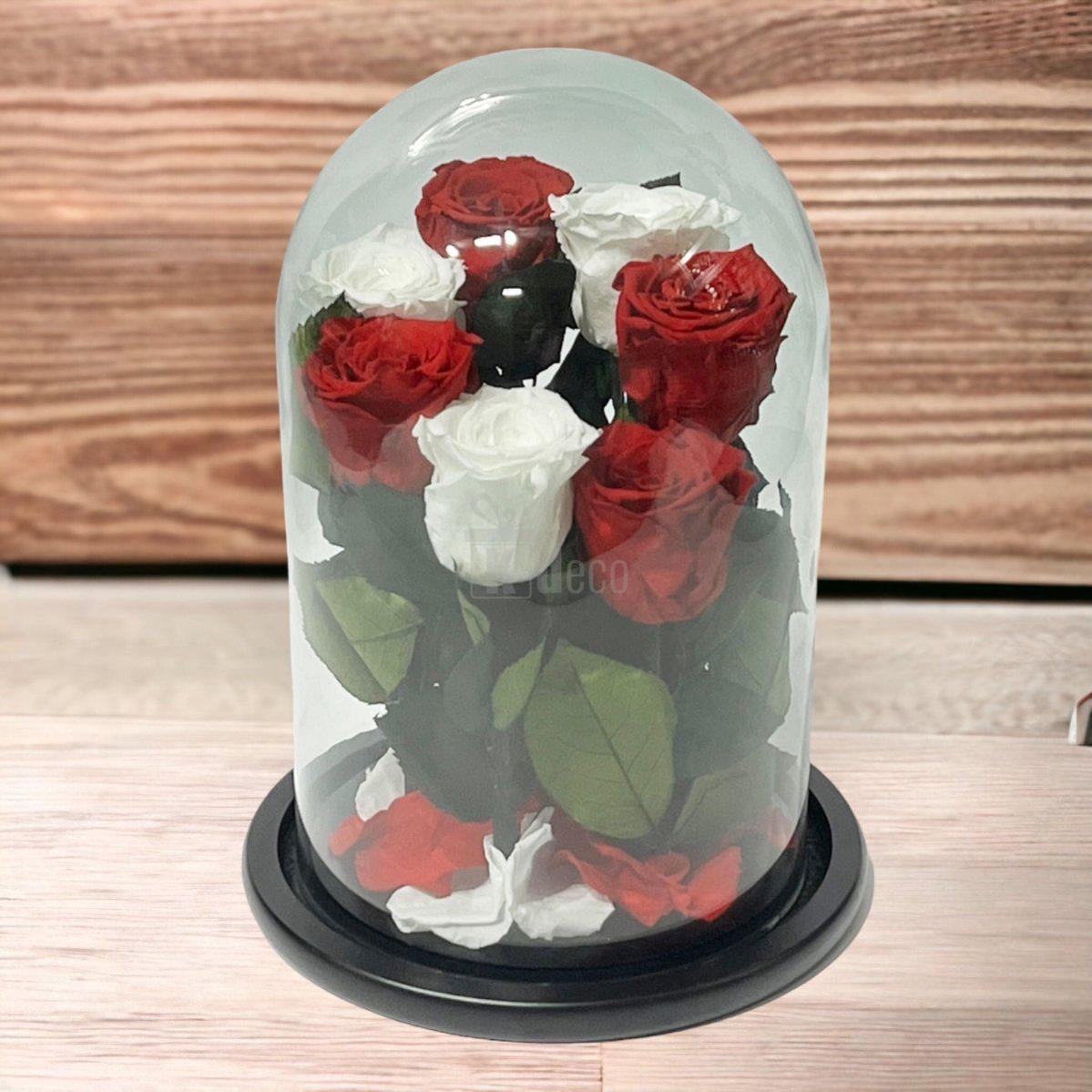 7 Trandafiri Criogenati 4 rosii si 3 albi in cupola de sticla cu mesaj-Kdeco.ro