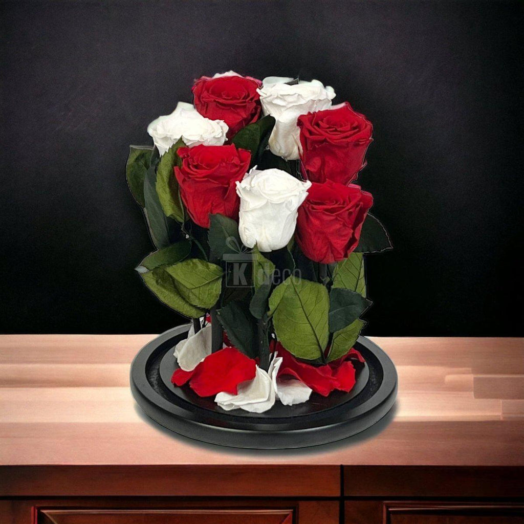 7 Trandafiri Criogenati 4 rosii si 3 albi in cupola de sticla cu mesaj-Kdeco.ro