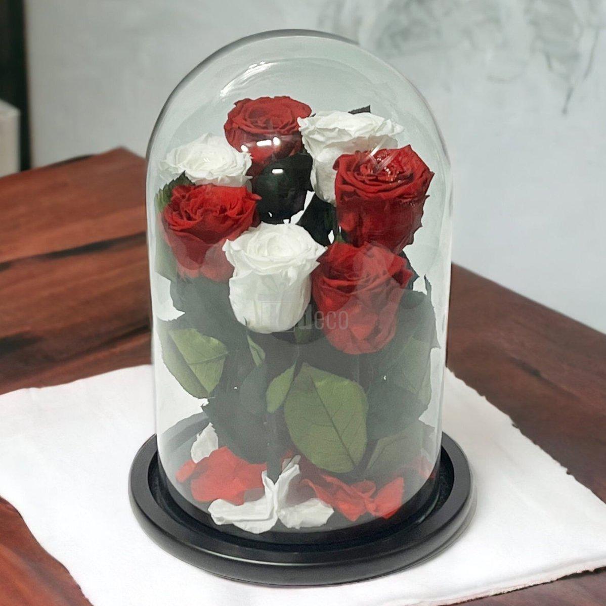 7 Trandafiri Criogenati 4 rosii si 3 albi in cupola de sticla cu mesaj-Kdeco.ro
