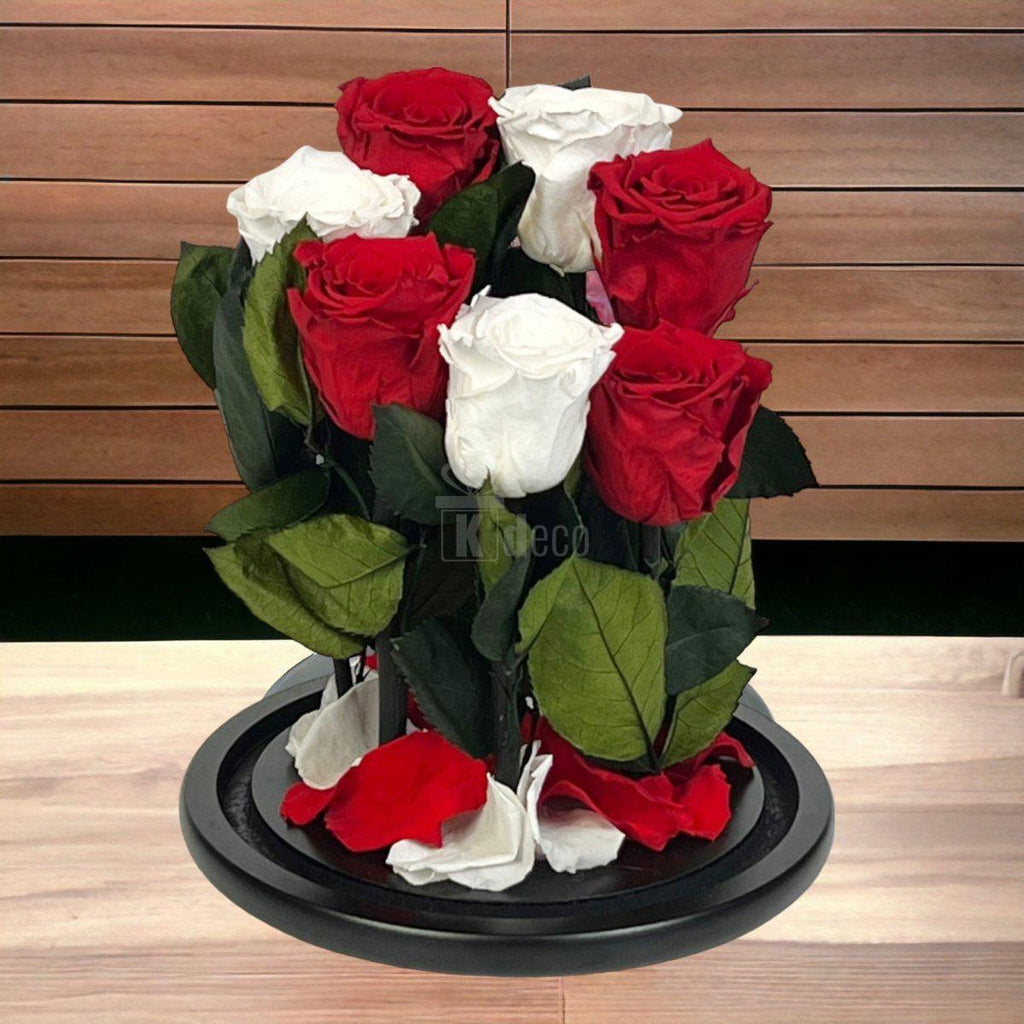 7 Trandafiri Criogenati 4 rosii si 3 albi in cupola de sticla cu mesaj-Kdeco.ro