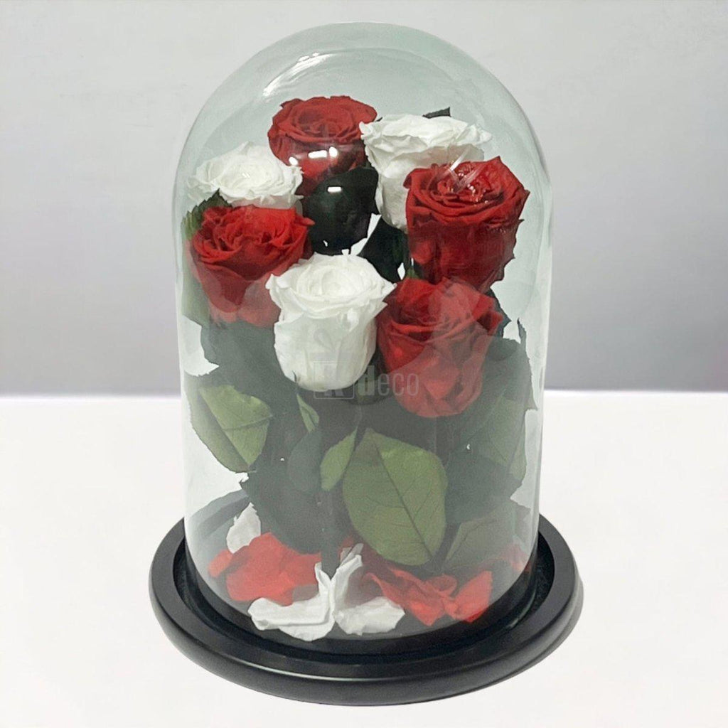 7 Trandafiri Criogenati 4 rosii si 3 albi in cupola de sticla cu mesaj-Kdeco.ro