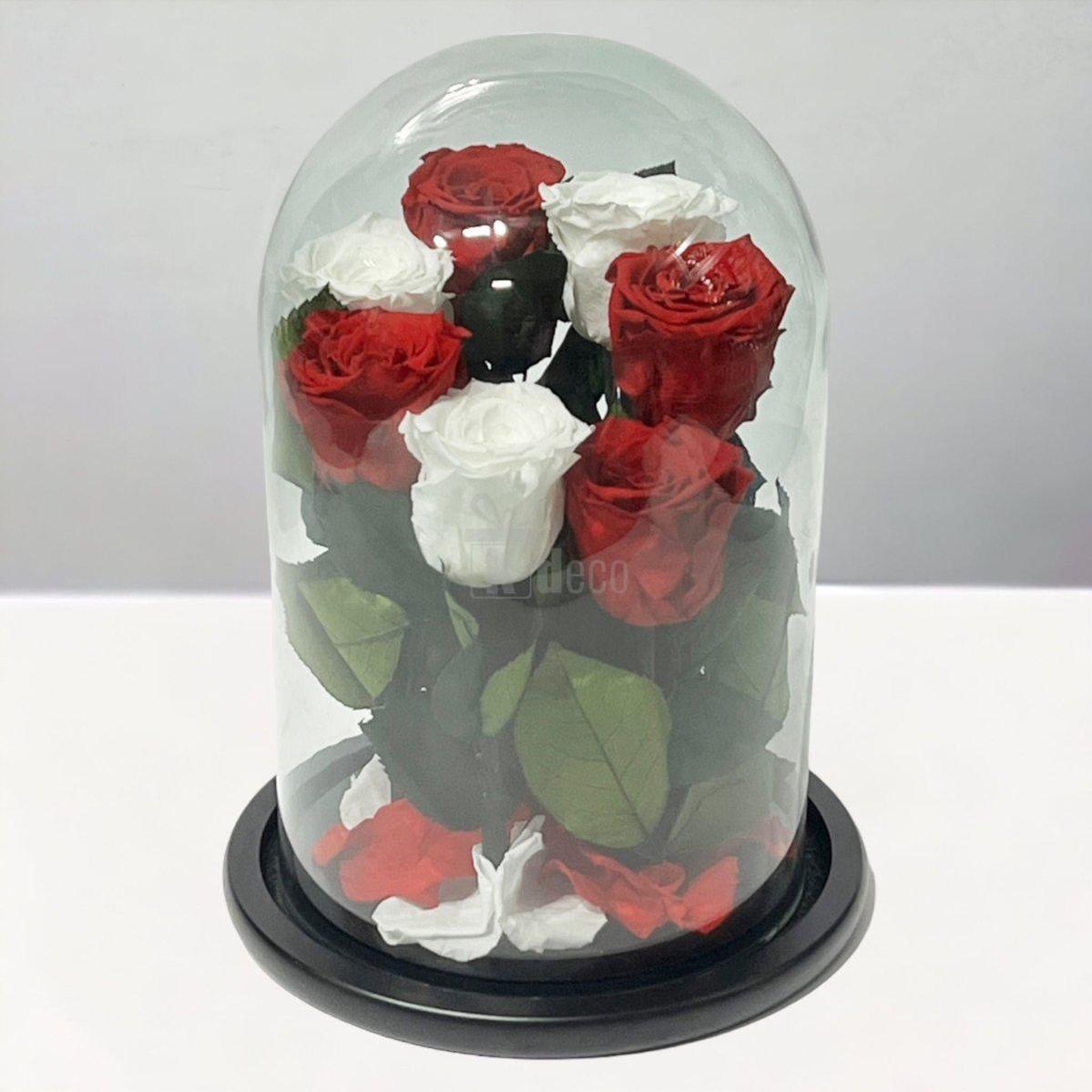 7 Trandafiri Criogenati 4 rosii si 3 albi in cupola de sticla cu mesaj-Kdeco.ro
