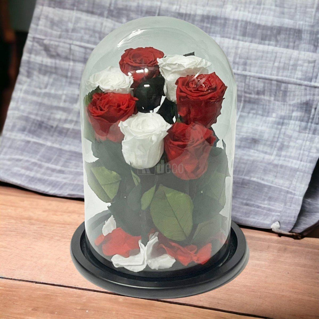 7 Trandafiri Criogenati 4 rosii si 3 albi in cupola de sticla cu mesaj-Kdeco.ro
