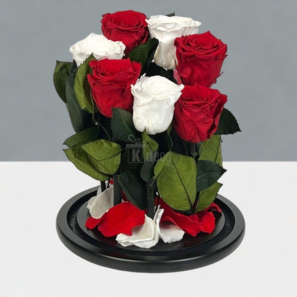 7 Trandafiri Criogenati 4 rosii si 3 albi in cupola de sticla cu mesaj-Kdeco.ro