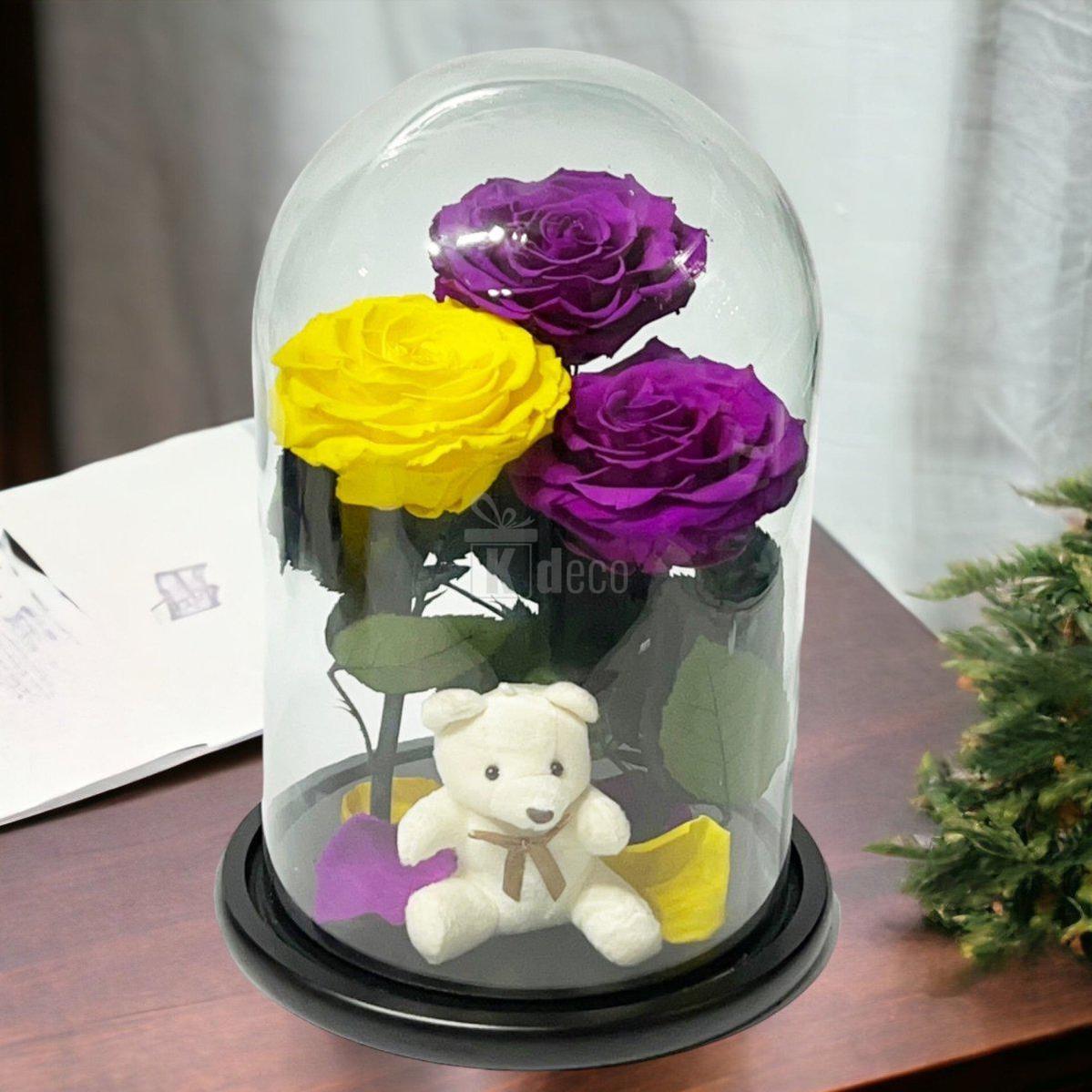 3 Trandafiri Criogenati mari (2 purpurii si 1 galben) in cupola sticla-Kdeco.ro