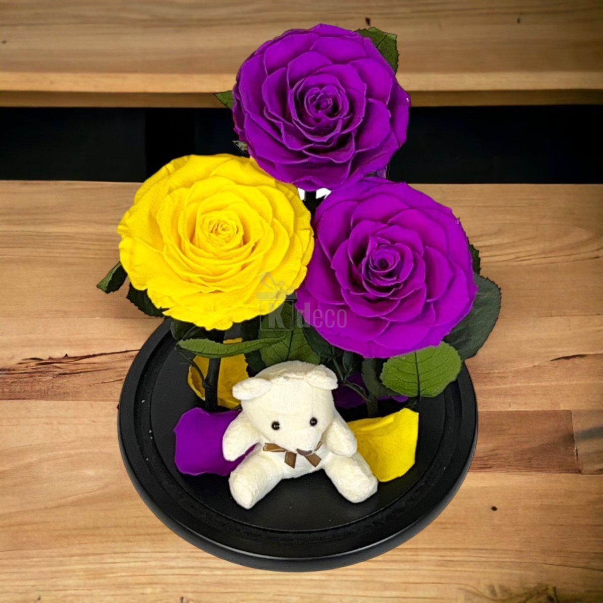 3 Trandafiri Criogenati mari (2 purpurii si 1 galben) in cupola sticla-Kdeco.ro