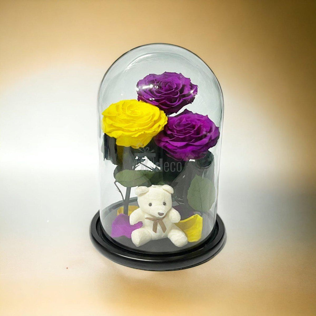 3 Trandafiri Criogenati mari (2 purpurii si 1 galben) in cupola sticla-Kdeco.ro