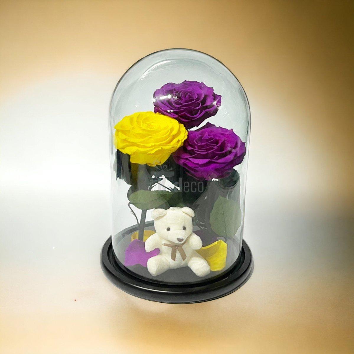 3 Trandafiri Criogenati mari (2 purpurii si 1 galben) in cupola sticla-Kdeco.ro