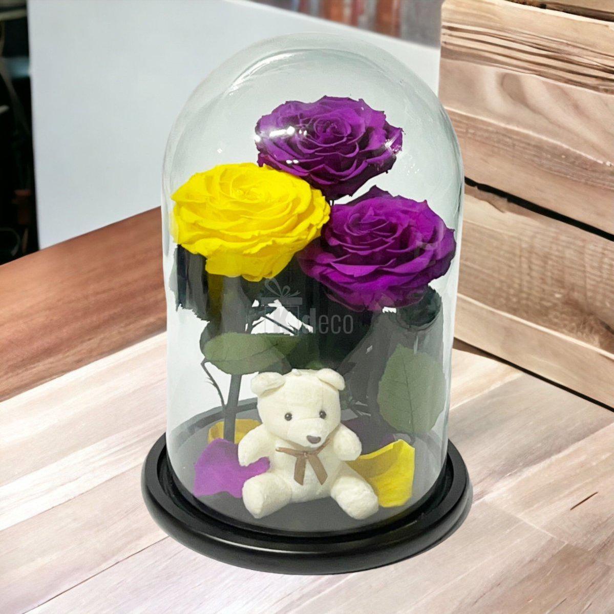 3 Trandafiri Criogenati mari (2 purpurii si 1 galben) in cupola sticla-Kdeco.ro