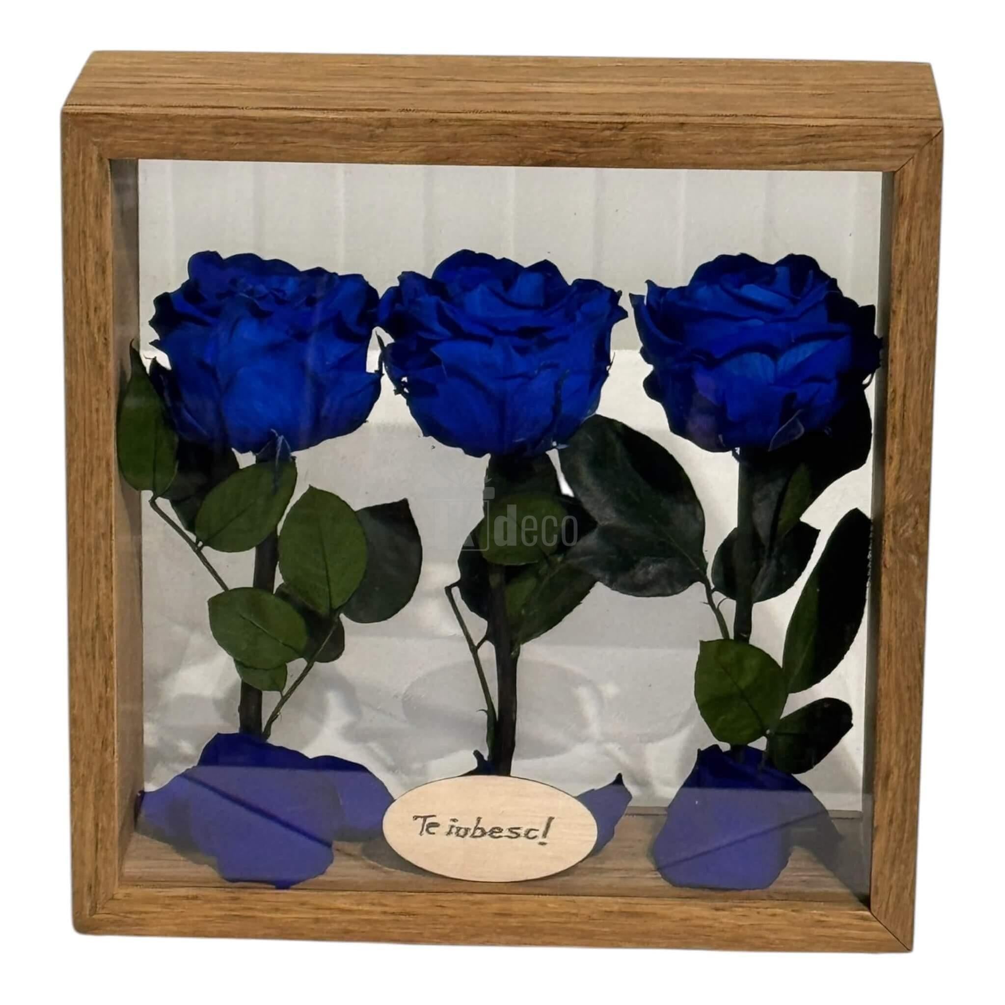 Aranjament de Masă cu 3 Trandafiri Criogenați Albaștri și Mesaj Personalizat – 27x27 cm 💙✨, cadou decorativ cu flori uscate în plexiglas