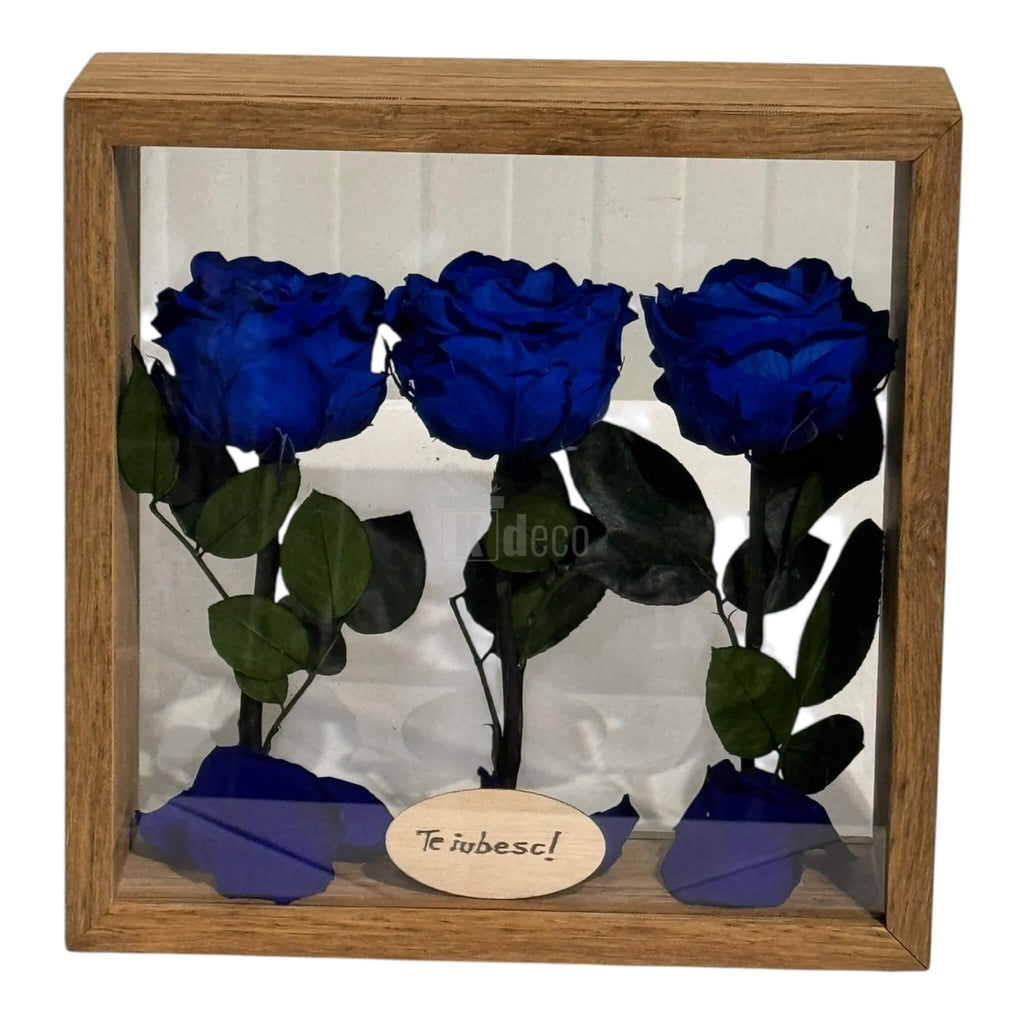 Aranjament decorativ cu 3 trandafiri criogenați albaștri și mesaj personalizat, în ramă de lemn cu plexiglas, dimensiune 27x27 cm