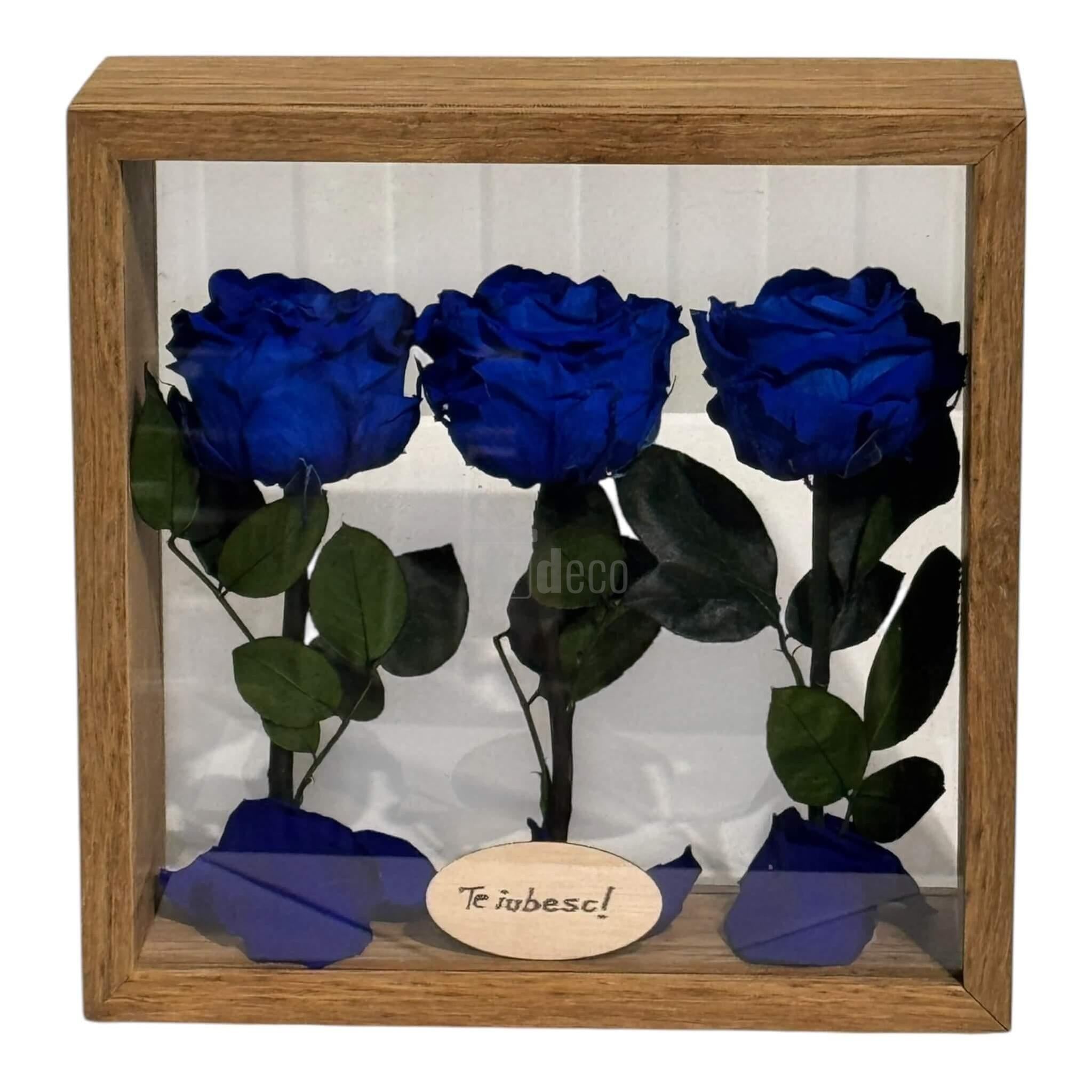 Aranjament floral cu 3 trandafiri criogenați albaștri și mesaj personalizat, în ramă de lemn cu plexiglas, ideal pentru cadouri romantice