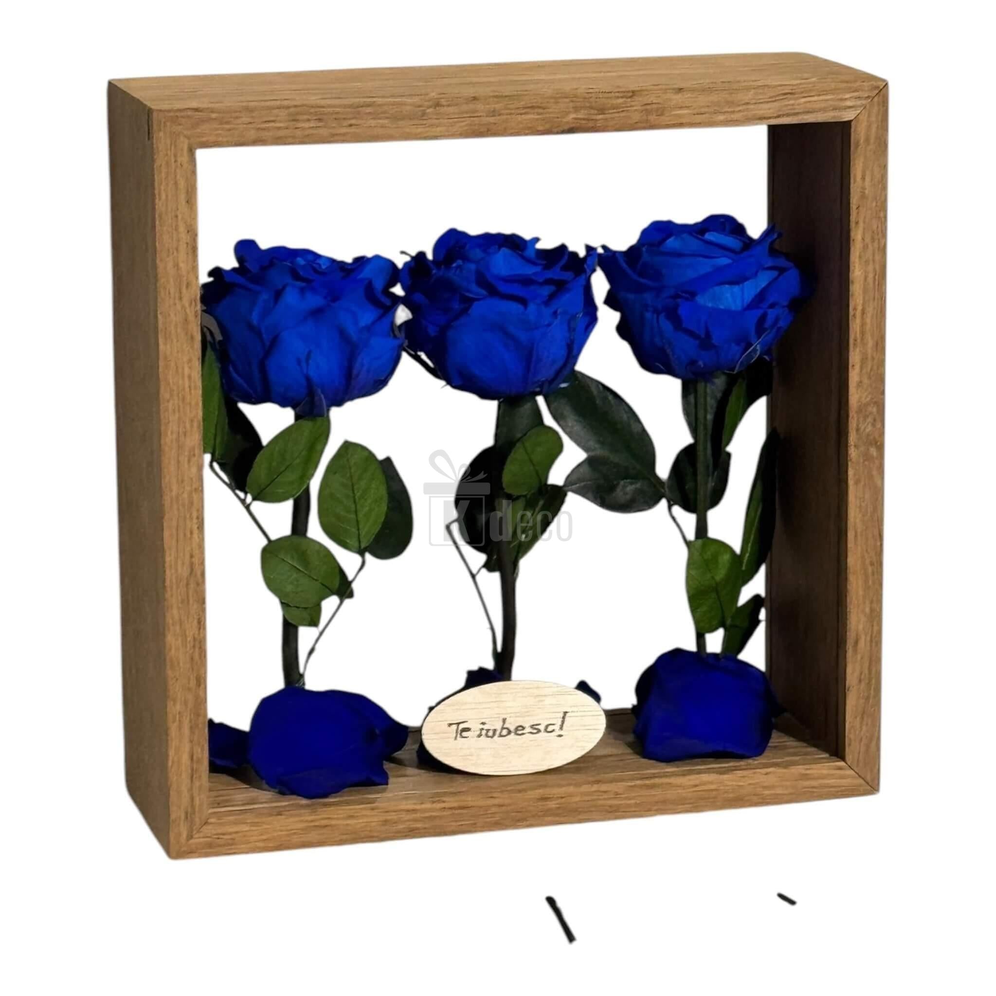 Trandafiri criogenați albaștri în aranjament decorativ 27x27 cm cu mesaj „Te iubesc!”, ideal pentru cadouri romantice și decor interior