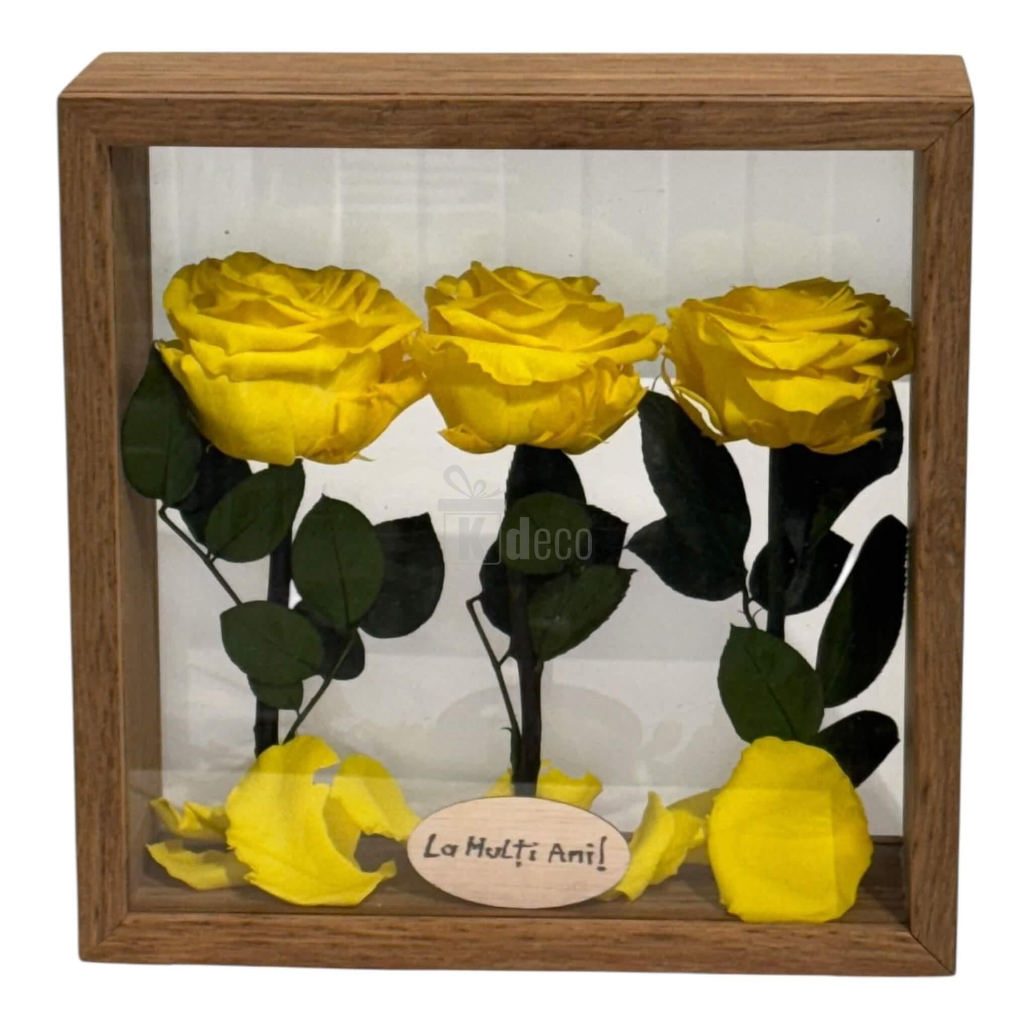 Aranjament decorativ cu trandafiri criogenați galbeni în suport pătrat din plexiglas, perfect pentru decor interior de durată.