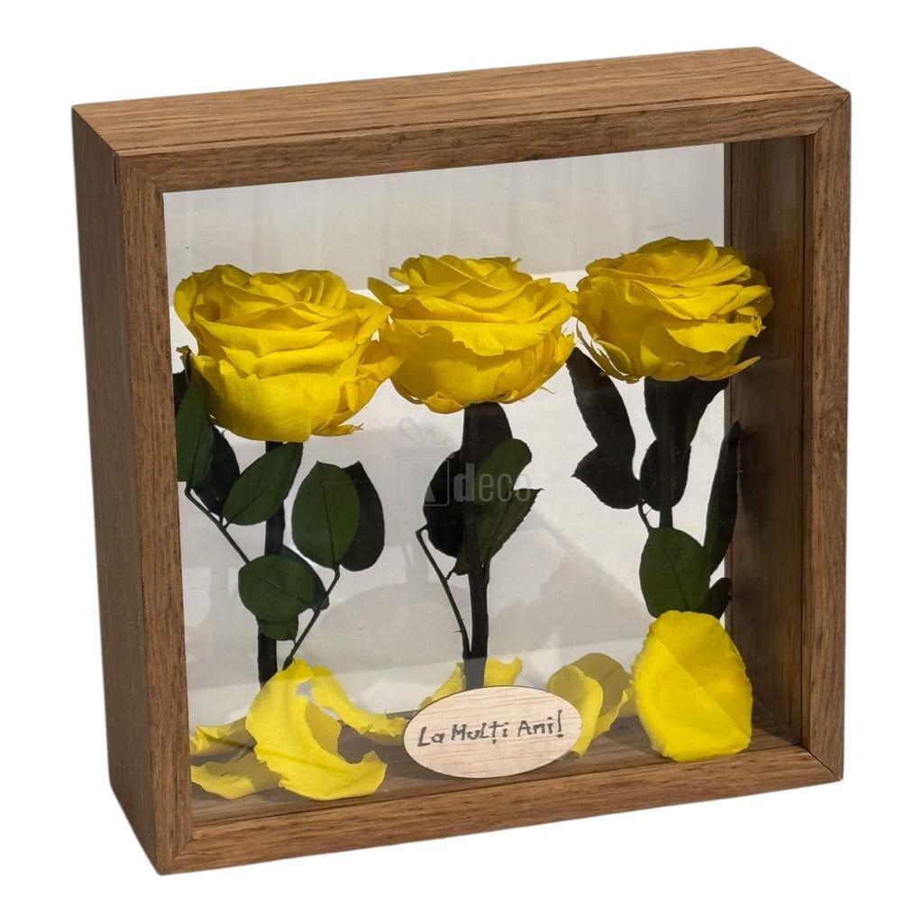 Cutie decorativă 27x27cm cu 3 trandafiri criogenați galbeni premium, simbol al eleganței și longevității în amenajarea casei.