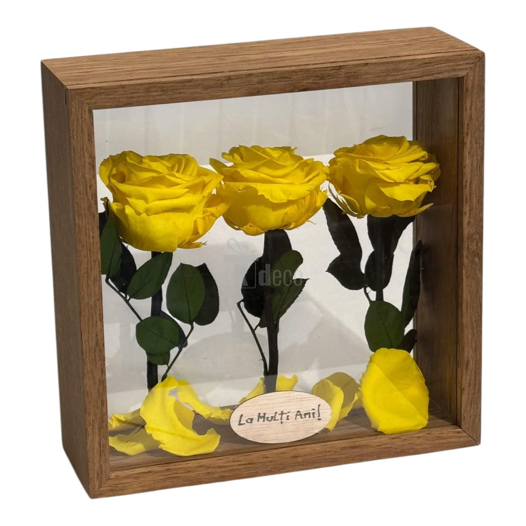 Cutie decorativă 27x27cm cu 3 trandafiri criogenați galbeni premium, simbol al eleganței și longevității în amenajarea casei.