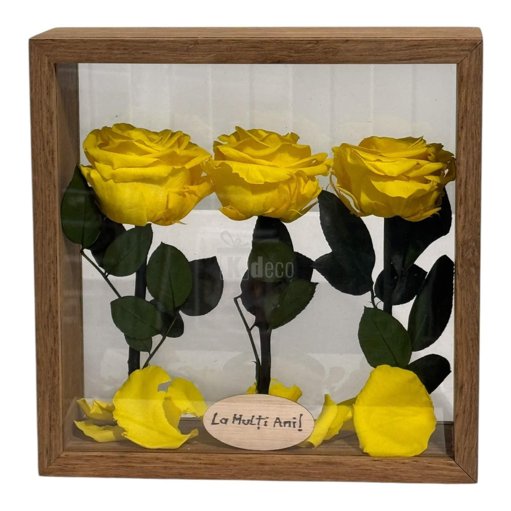 Aranjament de masă cu flori uscate criogenate galbene, în ramă transparentă, ideal pentru cadouri și decor sofisticat.