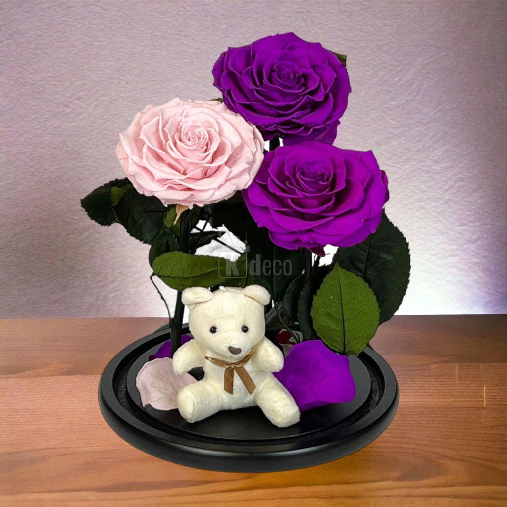 3 Trandafiri Criogenati mari (2 purpurii si 1 roz pal) in cupola sticla-Kdeco.ro