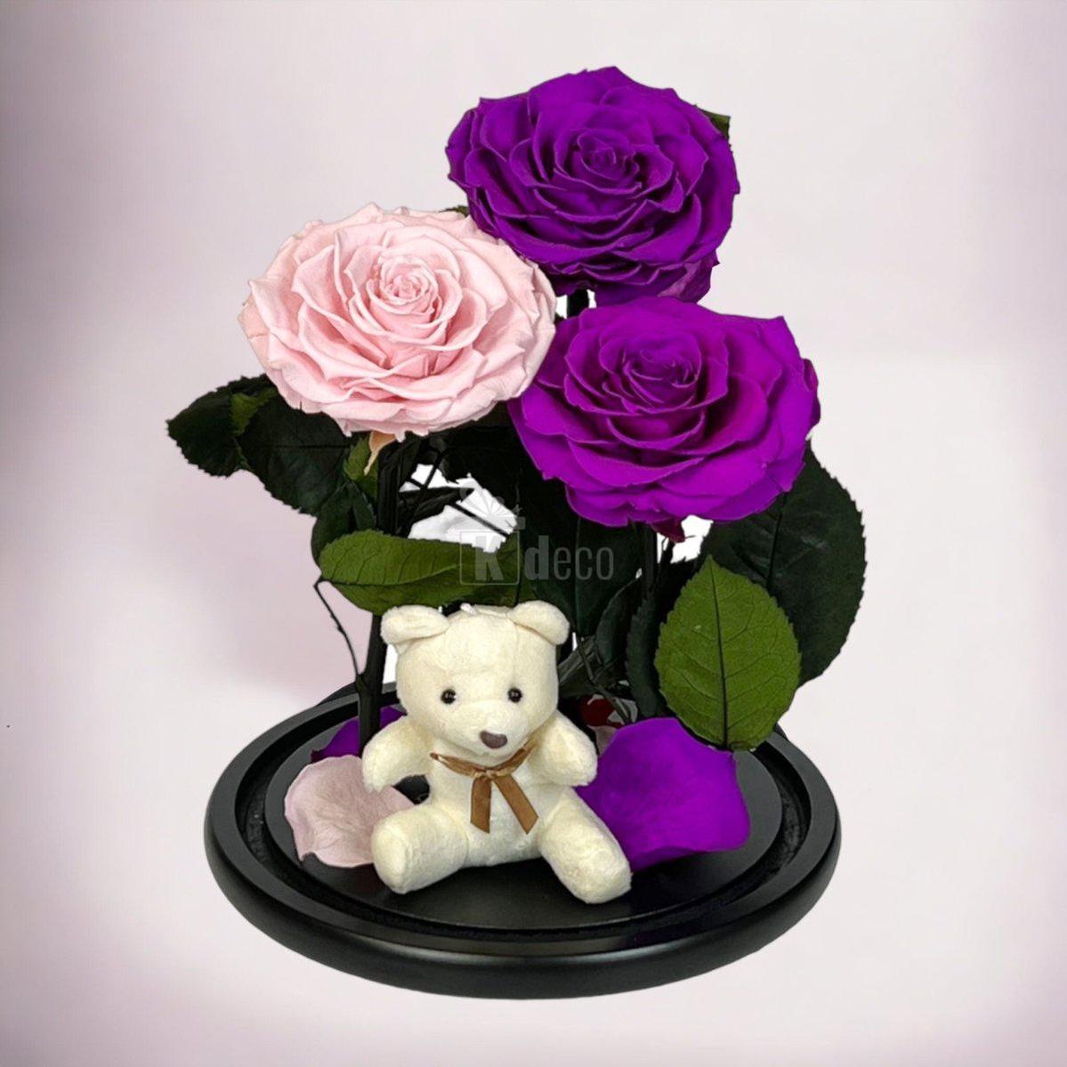 3 Trandafiri Criogenati mari (2 purpurii si 1 roz pal) in cupola sticla-Kdeco.ro