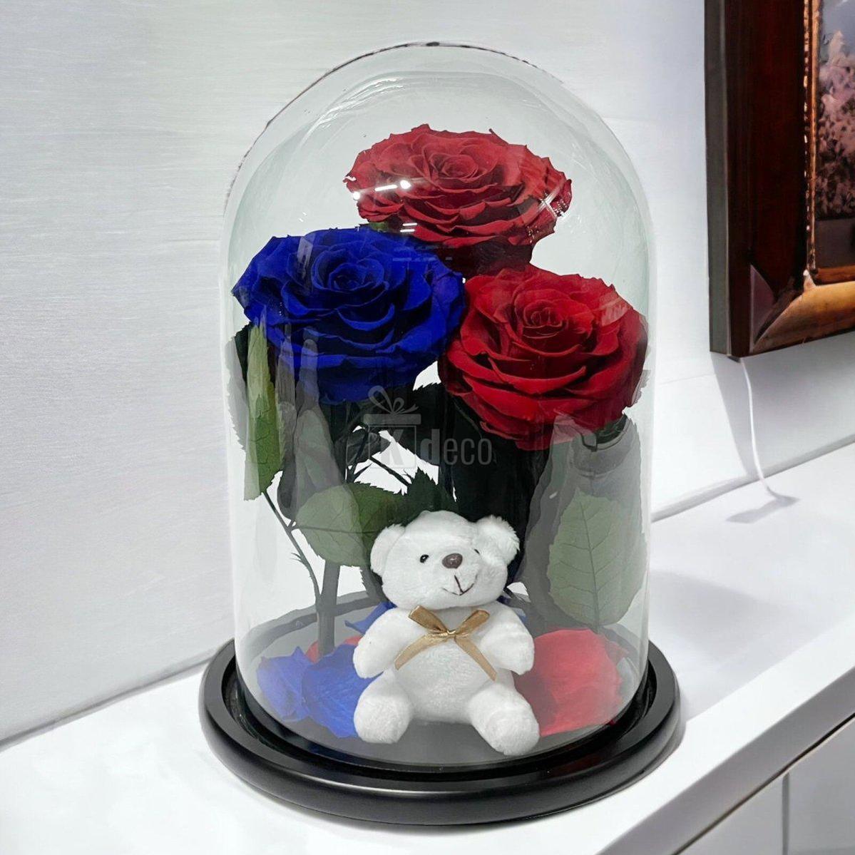 3 Trandafiri Criogenati mari (2 rosii si 1 albastru) in cupola sticla-Kdeco.ro