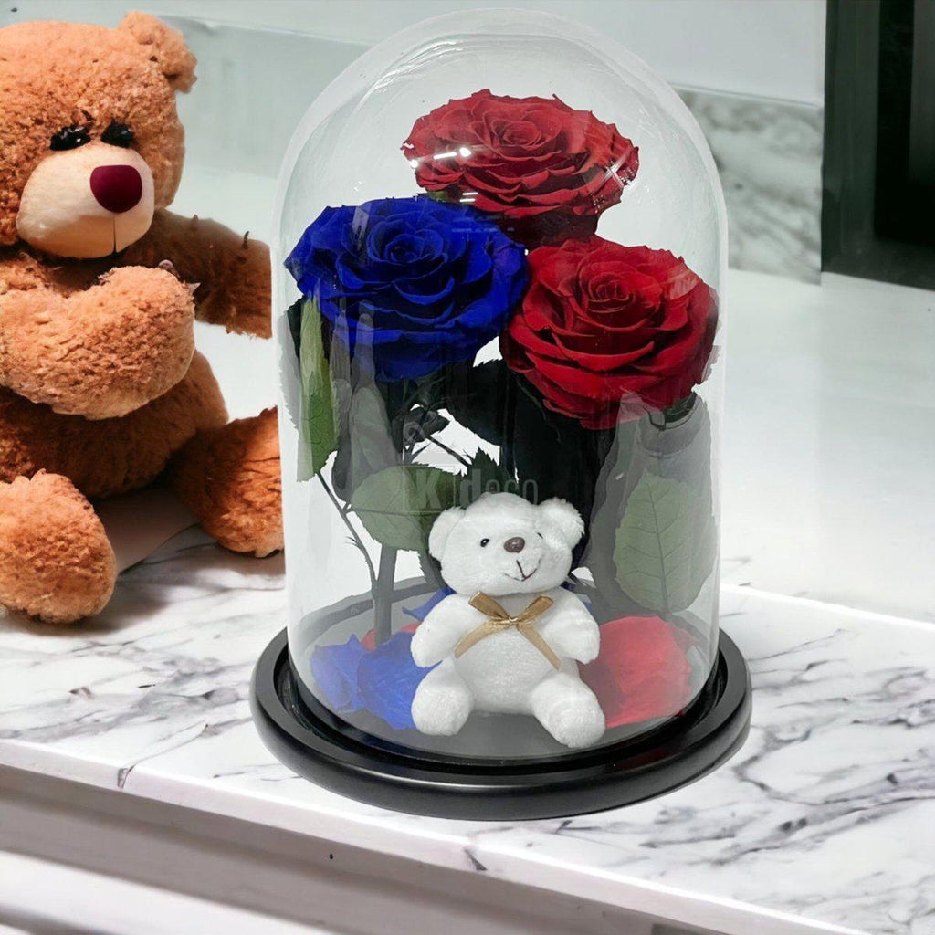 3 Trandafiri Criogenati mari (2 rosii si 1 albastru) in cupola sticla-Kdeco.ro